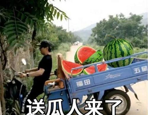 最近大瓜事件,揭秘明星隐私风波背后的真相-第1张图片-日韩亚洲国产影院 最近大瓜事件,揭秘明星隐私风波背后的真相-第1张图片-日韩亚洲国产影院