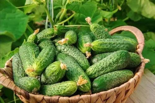 最近大瓜事件,揭秘明星隐私风波背后的真相-第2张图片-日韩亚洲国产影院 最近大瓜事件,揭秘明星隐私风波背后的真相-第2张图片-日韩亚洲国产影院