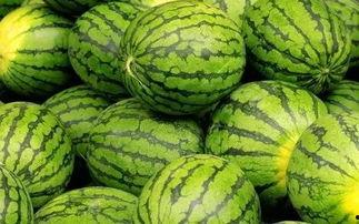 吃瓜网官网免费观看 吃瓜网官网,免费观看，畅享娱乐盛宴-第2张图片-日韩亚洲国产影院