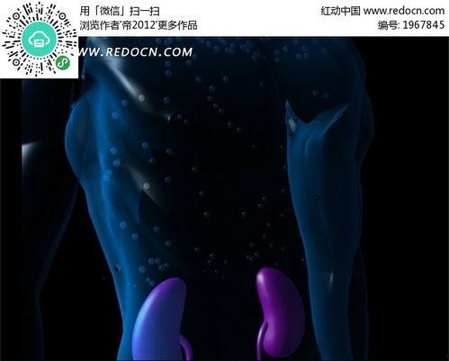 成人结构素材视频下载,深度解析与下载指南-第3张图片-日韩亚洲国产影院 成人结构素材视频下载,深度解析与下载指南-第3张图片-日韩亚洲国产影院