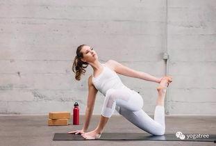 瑜伽成人拉筋视频大全,轻松解锁身体潜能,提升健康活力-第1张图片-日韩亚洲国产影院 瑜伽成人拉筋视频大全,轻松解锁身体潜能,提升健康活力-第1张图片-日韩亚洲国产影院