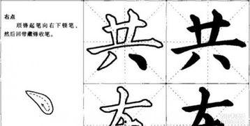 毛笔成人练字初学视频,跟随视频轻松掌握毛笔书写技巧-第3张图片-日韩亚洲国产影院