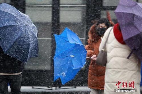 成人雨衣玩雪视频大全,成人雨衣玩雪趣味视频大盘点-第3张图片-日韩亚洲国产影院 成人雨衣玩雪视频大全,成人雨衣玩雪趣味视频大盘点-第3张图片-日韩亚洲国产影院
