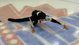 成人冰刀初学视频教程,成人冰刀入门教程全解析-第1张图片-日韩亚洲国产影院