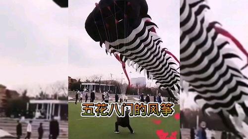 风筝成人搞笑视频大全,欢乐无限，笑点爆棚-第3张图片-日韩亚洲国产影院