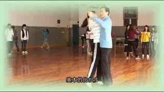 舞蹈视频成人啦啦操教学,轻松入门，活力四射的舞蹈体验-第2张图片-日韩亚洲国产影院