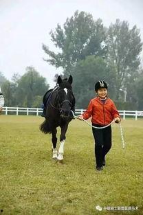 成人欧巴骑马舞蹈视频大全,成人版精彩视频集锦-第1张图片-日韩亚洲国产影院