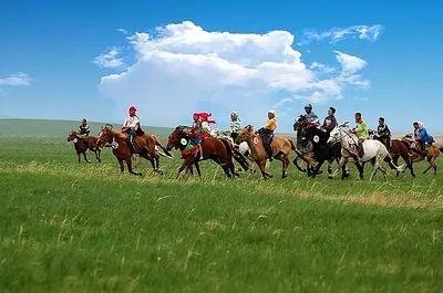 成人欧巴骑马舞蹈视频大全,成人版精彩视频集锦-第3张图片-日韩亚洲国产影院