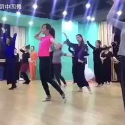 春风舞蹈成人舞蹈视频大全,成人舞蹈风采无限——视频大全赏析-第3张图片-日韩亚洲国产影院