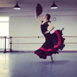 舞蹈课互动成人舞蹈视频,跟随成人舞蹈视频，解锁舞蹈互动新体验-第2张图片-日韩亚洲国产影院