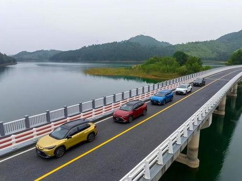 成人搞笑小车视频,笑翻全场！成人搞笑小车视频集锦-第2张图片-日韩亚洲国产影院