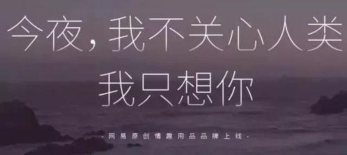 韩国成人午夜文案视频-第2张图片-日韩亚洲国产影院