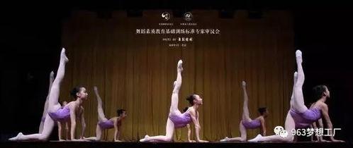 宏大成人舞蹈视频大全,尽享宏大成人舞蹈风采-第3张图片-日韩亚洲国产影院
