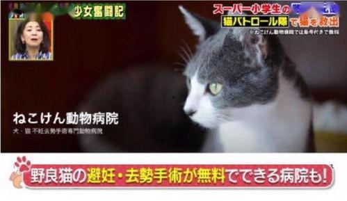 猫咪视频-成人快播-第1张图片-日韩亚洲国产影院